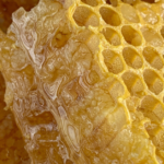 Ways to test the purity of Honey at Home