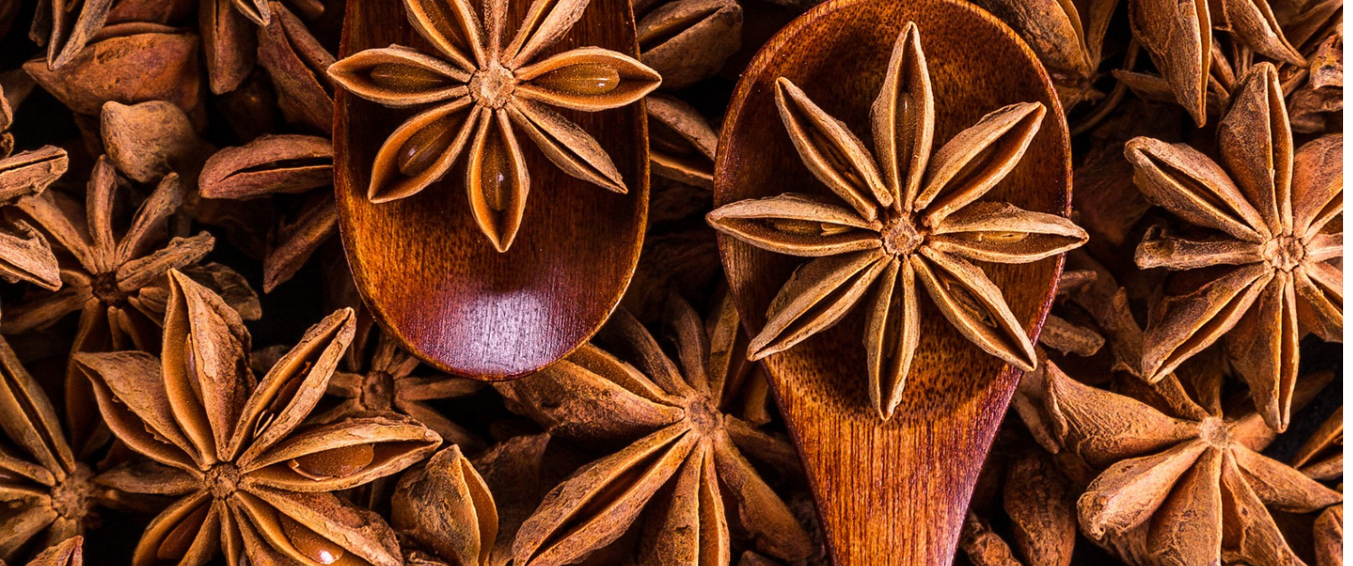 Know the star of your kitchen- “STAR ANISE”