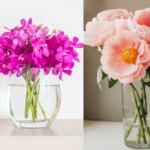 Tips to make Fresh Flowers Last Longer