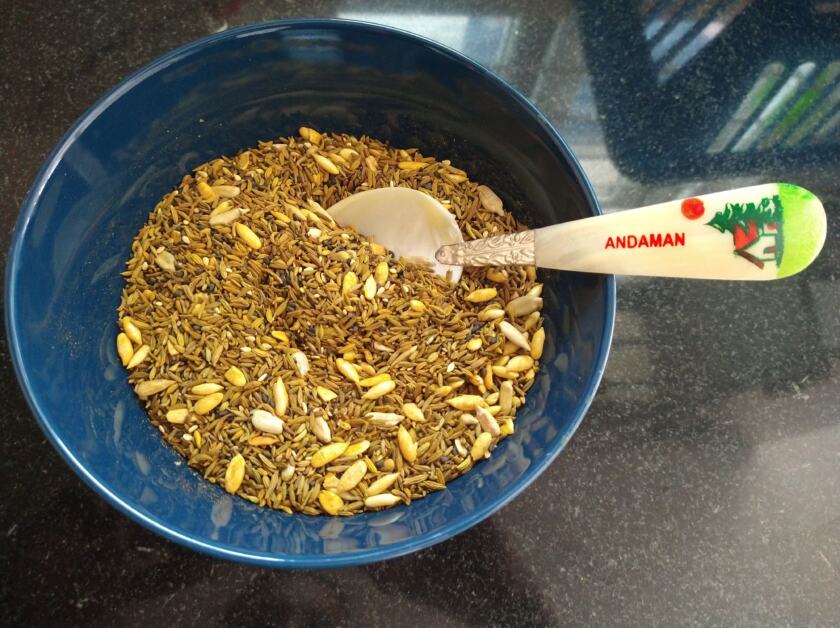 A Spoonful of Wellness: Immunity Booster