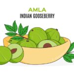 Amla Benefits Storage Tips and Daily Uses