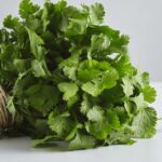 Fresh Coriander Leaf Tea